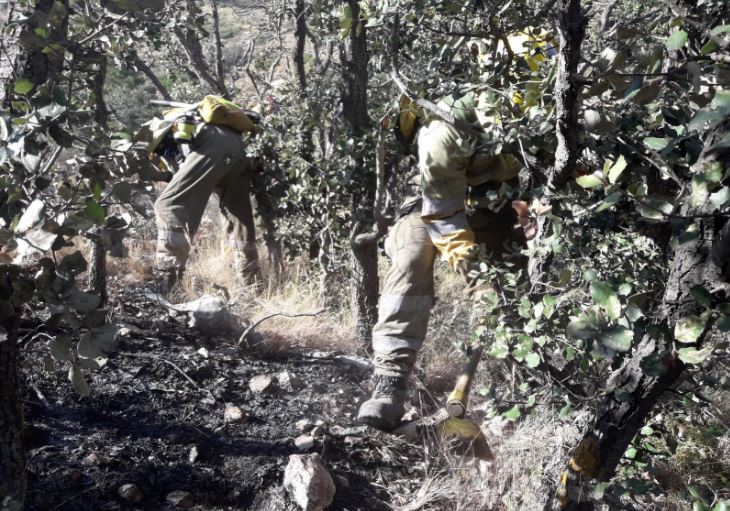 Bomberos forestales durante la extinción del incendio en Beneixama.